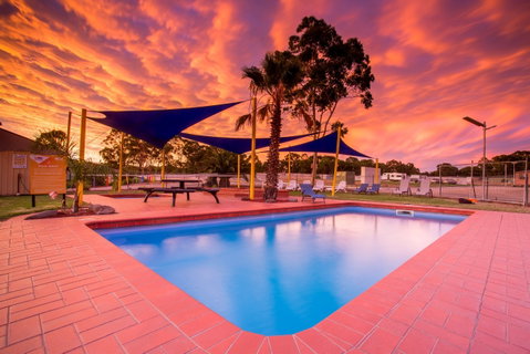 BIG4 Bendigo Park Lane Holiday Park - Palm Beach Accommodation 2