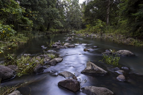 Country Mile Escape - Palm Beach Accommodation 2