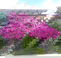 Crest Motor Inn - Palm Beach Accommodation