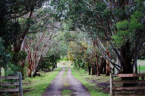 Galwiji Homestead - Palm Beach Accommodation 1