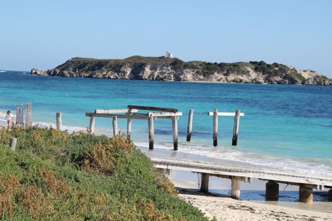 Hamelin Bay Holiday Park - Palm Beach Accommodation 0