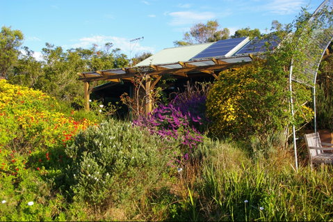 Back Forest Retreat - Palm Beach Accommodation 2