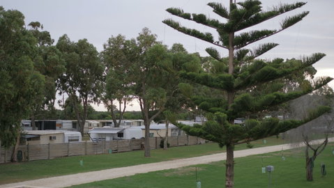 Cape Jaffa Caravan Park - Palm Beach Accommodation 2
