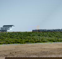 Hounds Run Vineyard - Palm Beach Accommodation