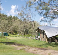 Pebbly Beach campground - Yuraygir National Park - Palm Beach Accommodation
