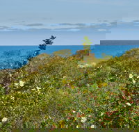 Preston Beach Front Apartment - Palm Beach Accommodation