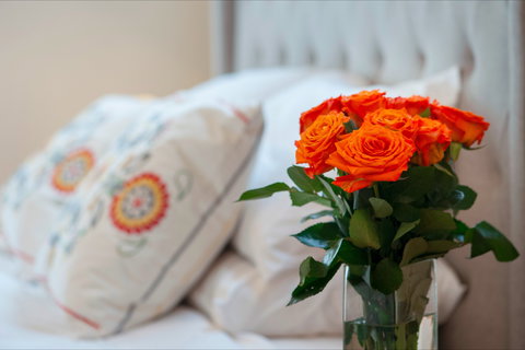 The Nest At Gundaroo - Palm Beach Accommodation 1