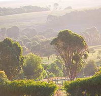 Mackas Farm - Palm Beach Accommodation