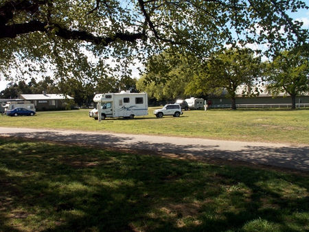 Sale Showground Caravan And Motorhome Park - Palm Beach Accommodation 0