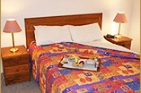 Homestead Motor Inn And Apartments - Palm Beach Accommodation 0