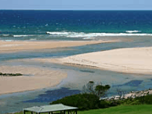 Scamander Beach Hotel Motel - Palm Beach Accommodation