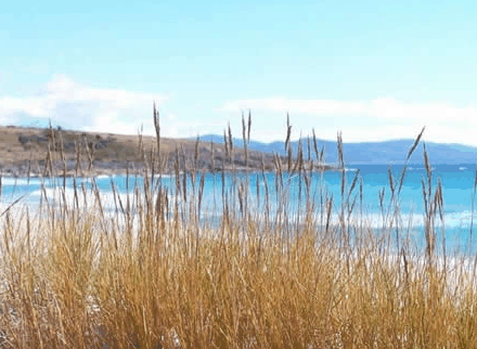 White Sands Estate - Palm Beach Accommodation