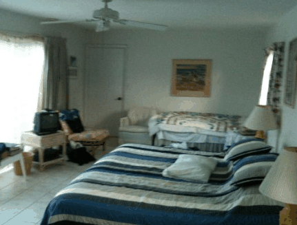 Auntie Ann's B  B - Palm Beach Accommodation