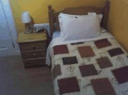 Parkview Hotel Sydney - Palm Beach Accommodation 3