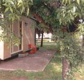 Carinya Cabins  Caravan Park - Palm Beach Accommodation