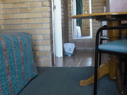 Dragon  Phoenix Motel - Palm Beach Accommodation