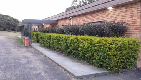 AA Hilldrop Motor Inn - Palm Beach Accommodation 4