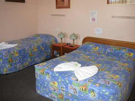 Civic Motel Grafton - Palm Beach Accommodation 2
