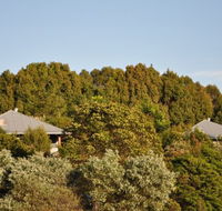 Tallaringa Views - Palm Beach Accommodation