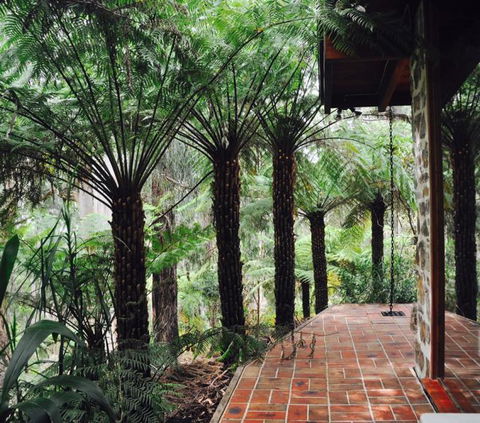 Piaf Day Spa - Palm Beach Accommodation 1