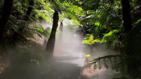 Australian National Botanic Gardens - Palm Beach Accommodation 4