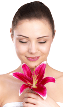 Sorbet Day Spa - Palm Beach Accommodation