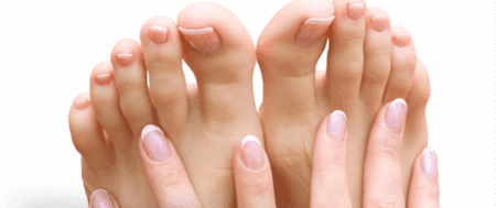 Ella Bache - Palm Beach Accommodation 1