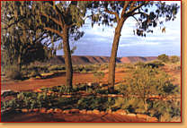 Kings Creek Station - Palm Beach Accommodation 1