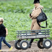 Perth City Farm Organic Markets - Palm Beach Accommodation