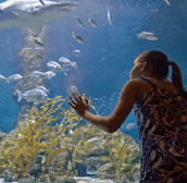 The Aquarium of Western Australia - Palm Beach Accommodation