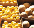 Brisbane Markets - Palm Beach Accommodation 0