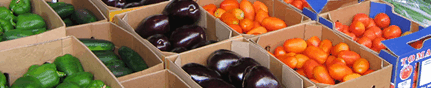 Brisbane Markets - Palm Beach Accommodation 3