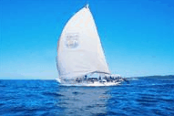Manly Harbour Village - Palm Beach Accommodation
