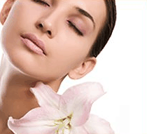 Stephanies Spa Retreat - Palm Beach Accommodation