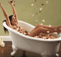 Toowong Village - Palm Beach Accommodation
