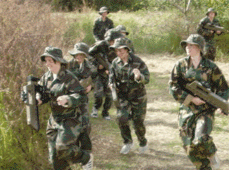 Logan Laser Skirmish - Palm Beach Accommodation 2