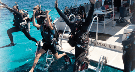 Snorkel Safari Brisbane - Palm Beach Accommodation
