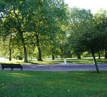 William Taylor Park - Palm Beach Accommodation