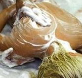 Exotique Massage - Palm Beach Accommodation