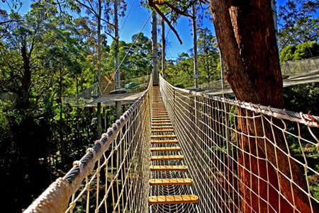 North Tamborine QLD Palm Beach Accommodation