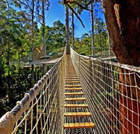 Thunderbird Park - Palm Beach Accommodation