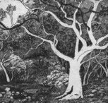 Tacit Contemporary Art - Palm Beach Accommodation