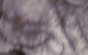 69 Smith Street - thumb 1