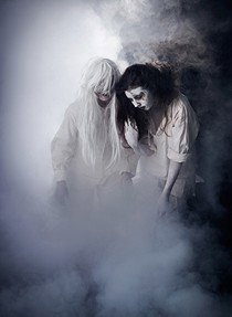 Jenny Port Gallery - Palm Beach Accommodation 1