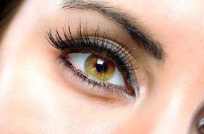 Beauty On Ryrie - Palm Beach Accommodation 1