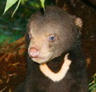 Perth Zoo - Palm Beach Accommodation