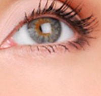 Cinnamon Stix Hair  Day Spa - Palm Beach Accommodation