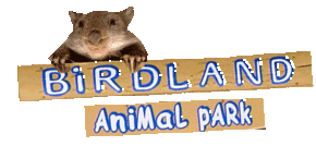 Birdland Animal Park - Palm Beach Accommodation