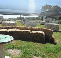We Are Paintball - Palm Beach Accommodation
