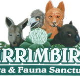 Wirrimbirra Sanctuary - Palm Beach Accommodation